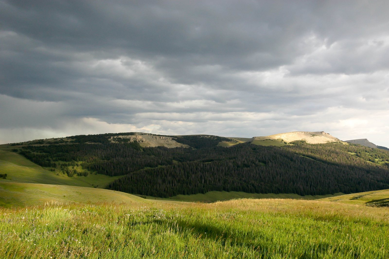 Heavy grey cloud pressing down over the rolling forested ridges of the Bighorn National Forest, Wyoming, with a single band of sunlight still on the grass in the foreground.