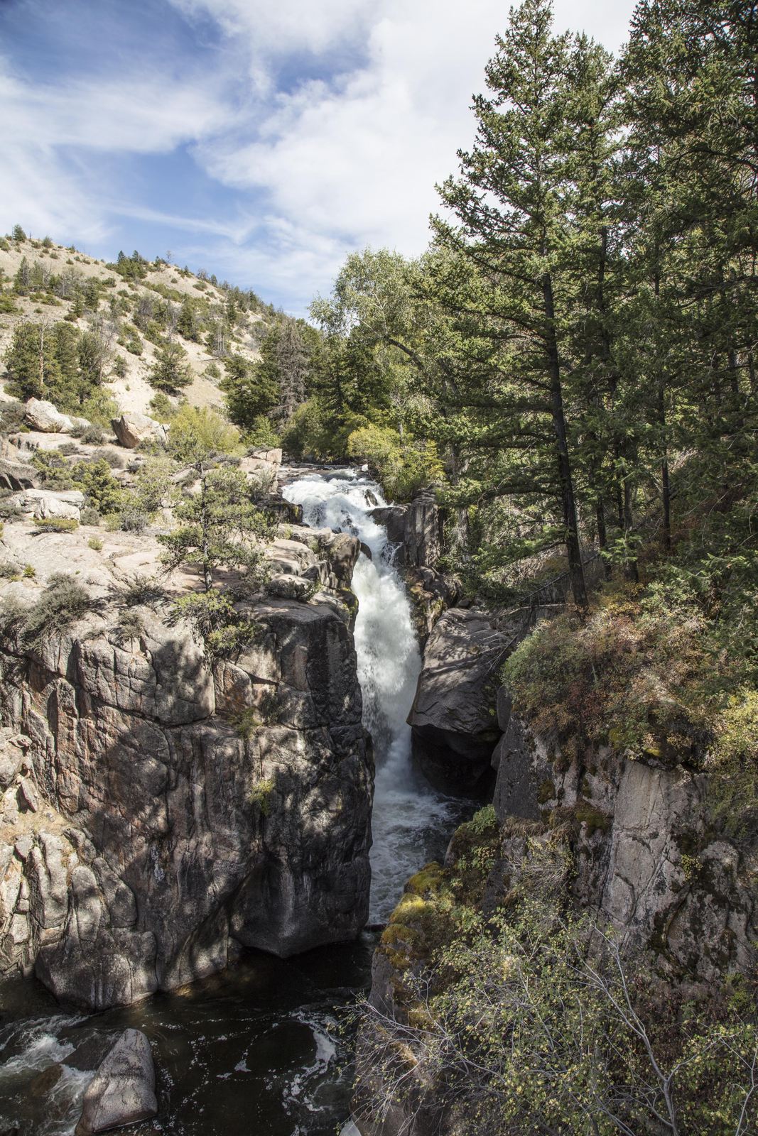 Shell Falls dropping through a narrow granite gorge in the Bighorn National Forest, Wyoming, with conifers growing out of the rock on both sides of the chute.