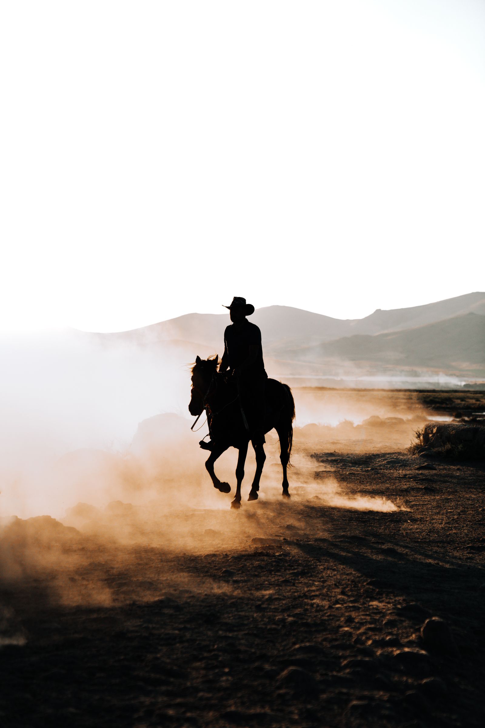 Cowboy at work on Wyoming range.