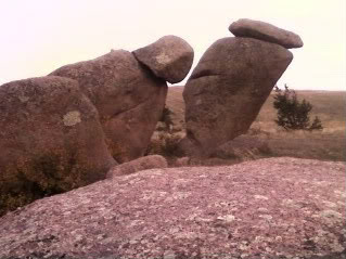 The granite rock formations of Vedauwoo, east of Laramie, Wyoming, with rounded weathered domes and hoodoos rising above ponderosa pine forest.