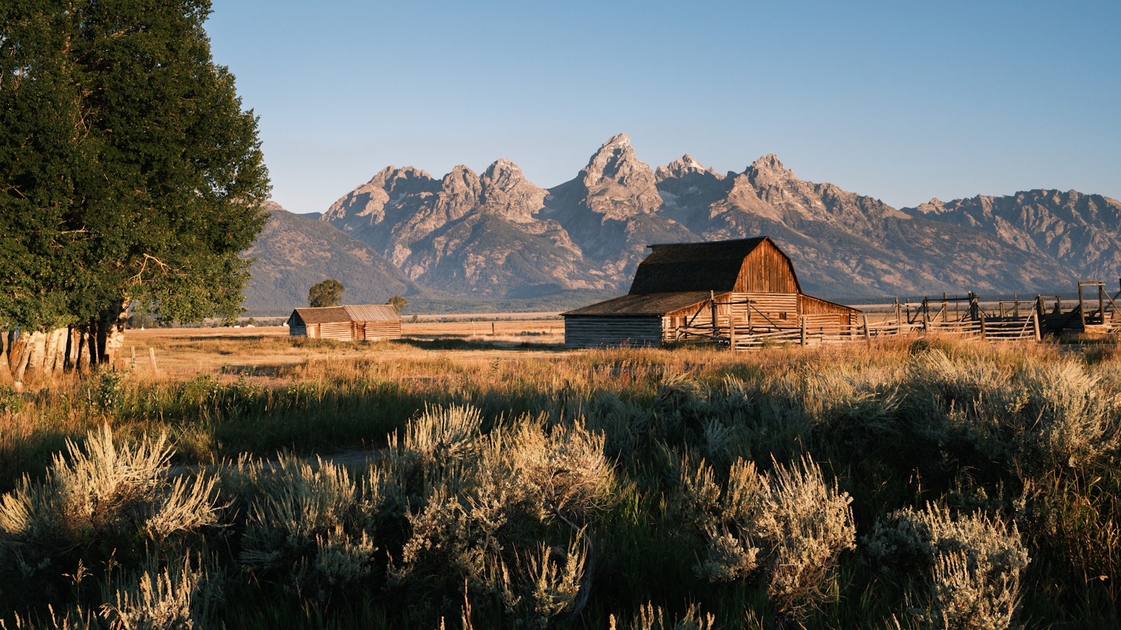 A rustic Wyoming mountain building with weathered wooden construction, surrounded by evergreen forest and open mountain terrain.