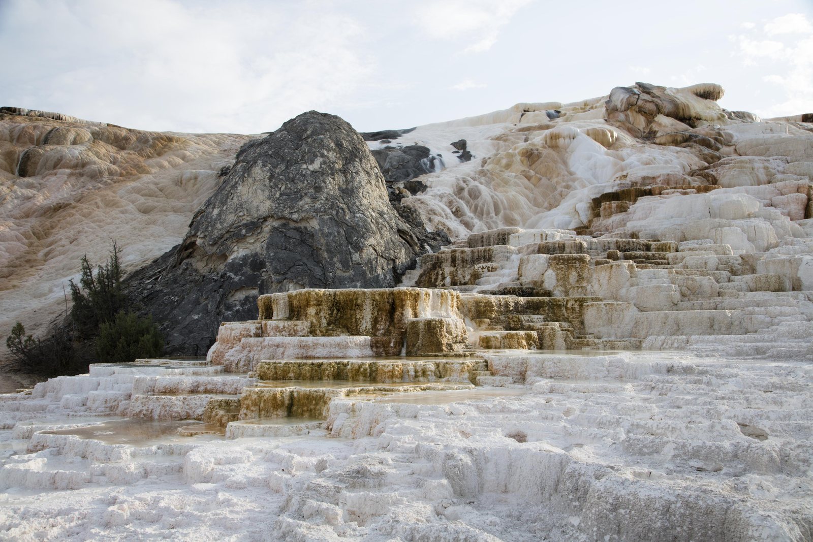 Stepped white and orange travertine terraces at the Upper Terraces in Yellowstone National Park, with thin sheets of water running over the rims and a dark rock outcrop above.