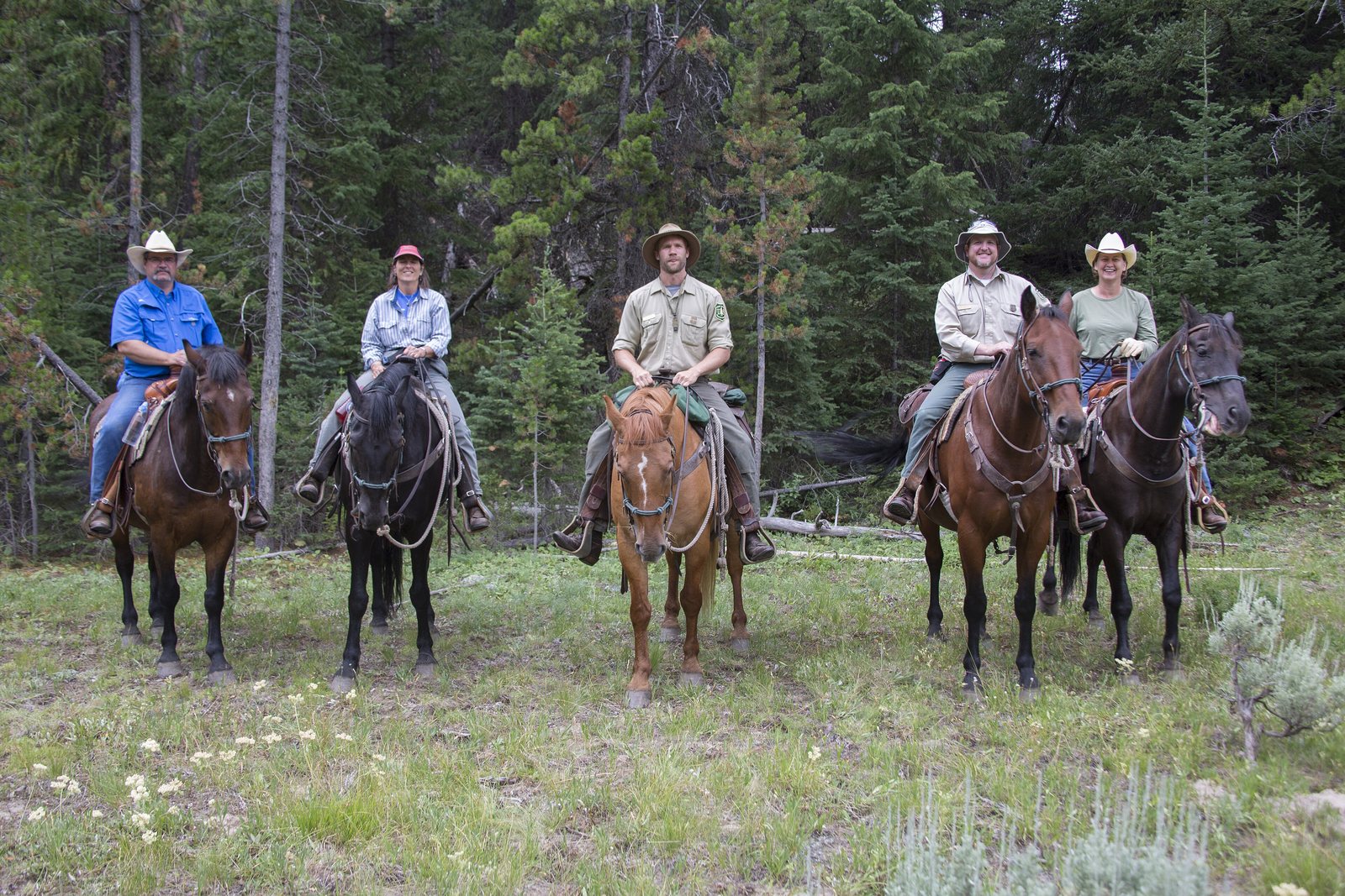 Five riders in cowboy hats sitting their horses side by side in a wildflower meadow ringed by tall conifer, Bridger-Teton National Forest, Wyoming.