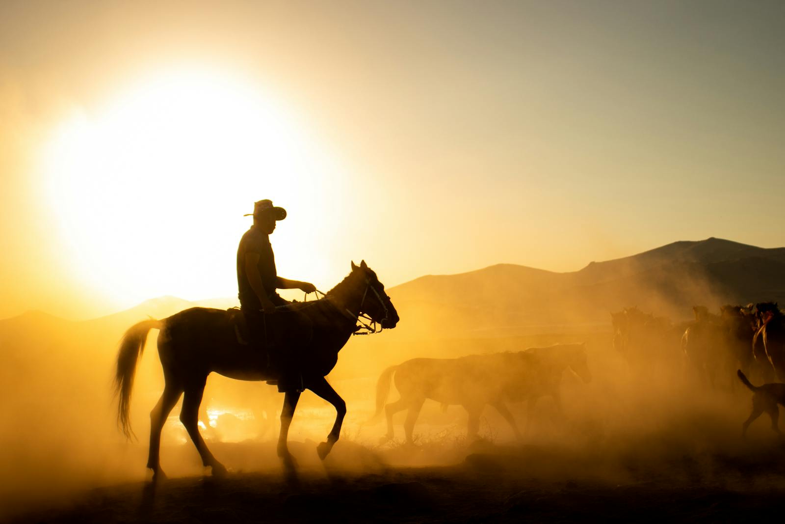 Cowboy with rope at work on a ranch.