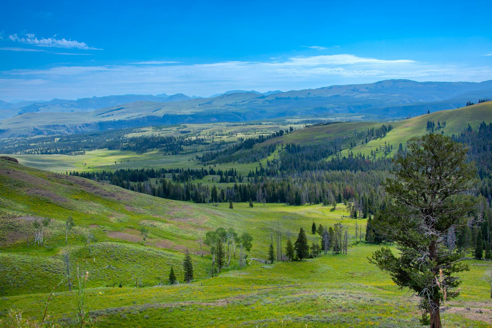 Wyoming high country landscape.
