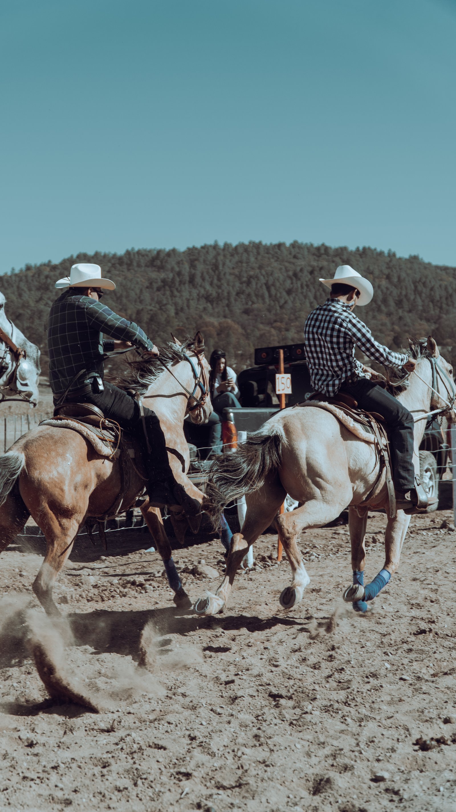 Cowboy in working Western dress on horseback.