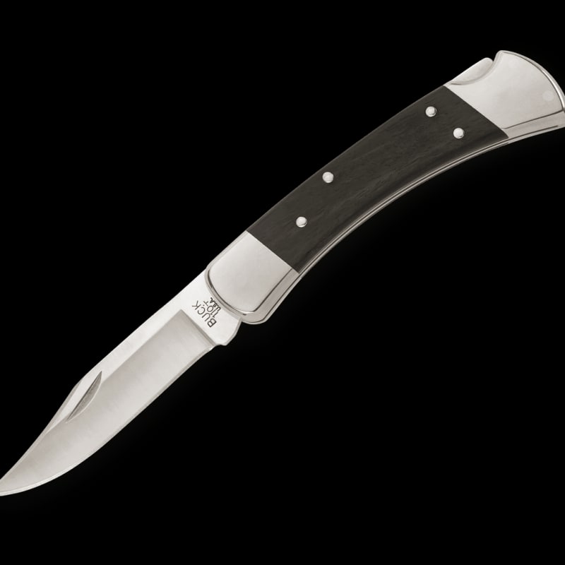 Buck 110 Folding Hunter knife open, showing 3.75-inch 420HC blade with brass bolsters and wood handle