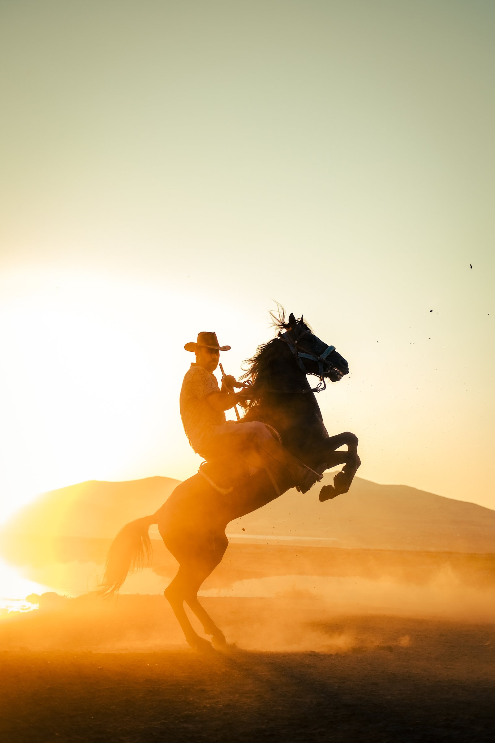 Bronc rider clearing the chute at a major rodeo.