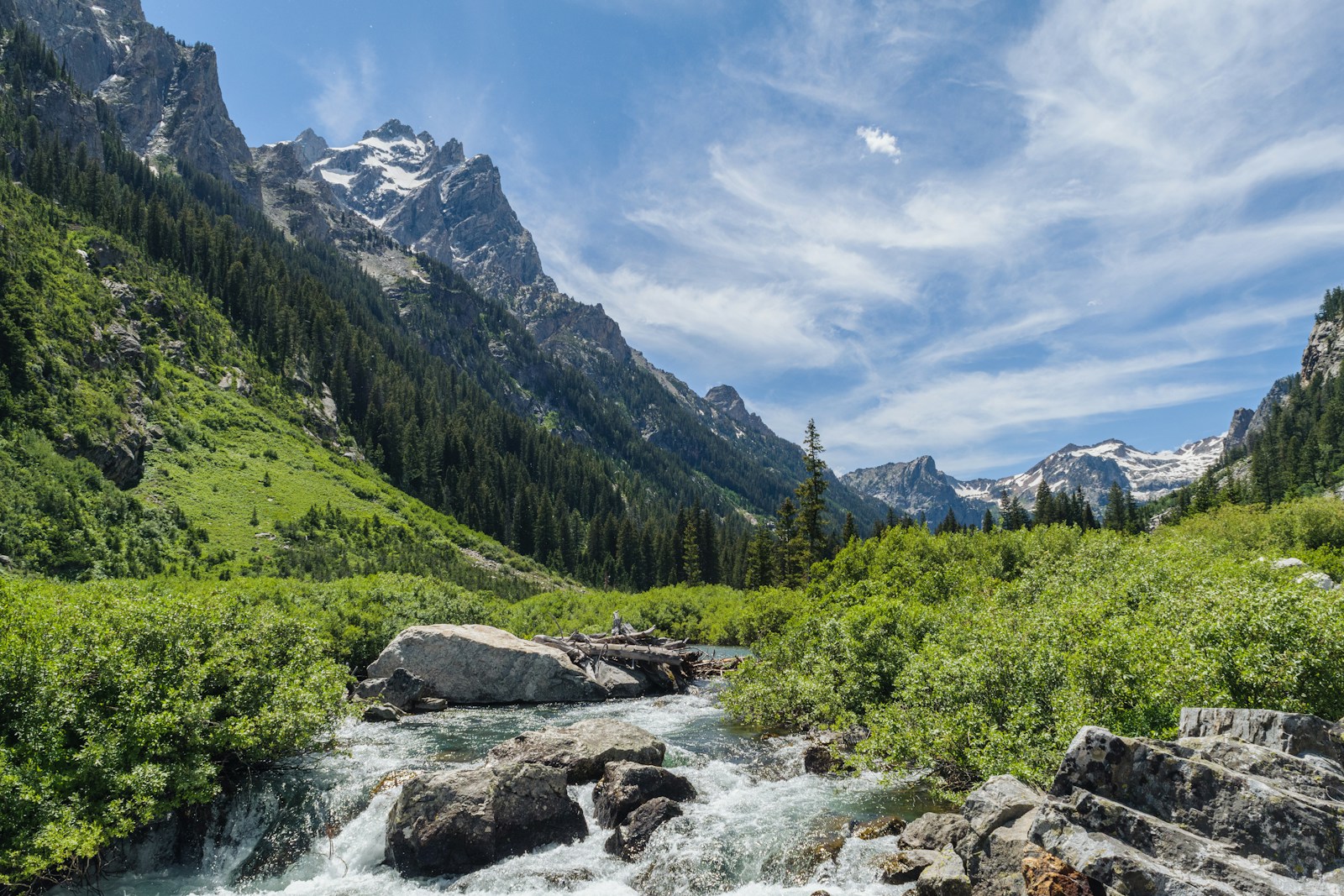 Clear river running through a forested mountain valley.