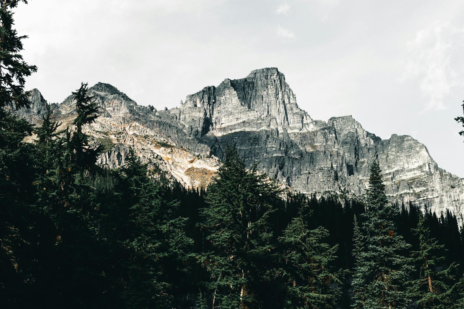 High alpine meadow below jagged granite peaks.