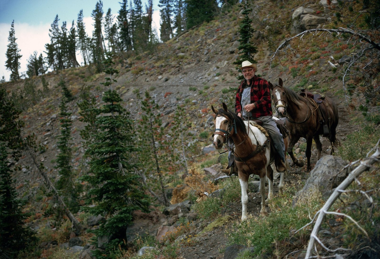 A rider in a straw hat leads three pack horses up a steep single-track trail through scattered conifer, with bleached deadfall lying across the slope beside them.