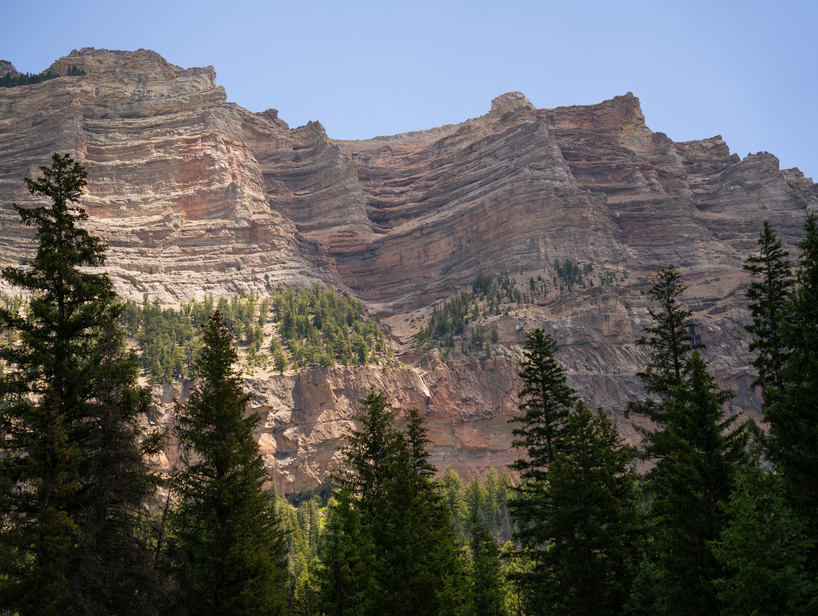 Wind River Range peaks rising above forested foothills.