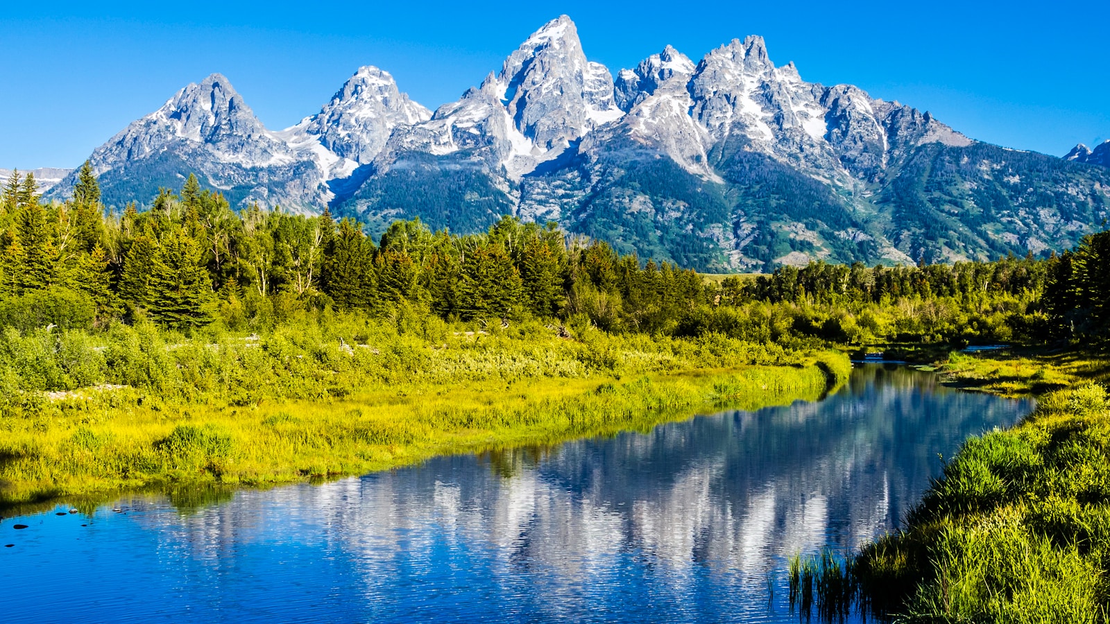 Alpine meadow and lake below the high peaks.